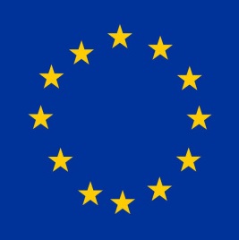 Die Europäische Flagge: ein Kreis aus gelben Sternen vor dunkelblauem Hintergrund. 